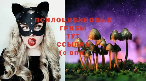 молекула духа Абдулино