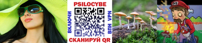 Галлюциногенные грибы ЛСД Ясный