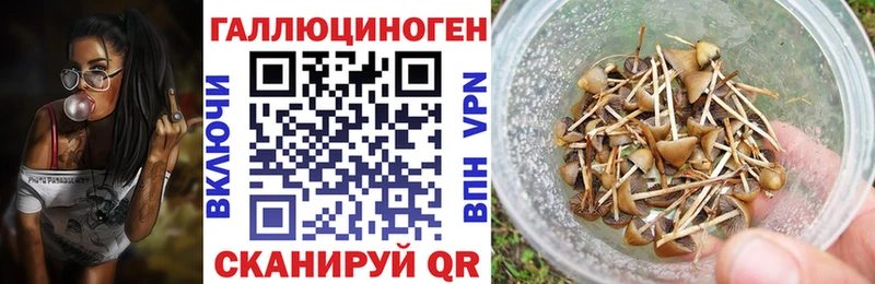 Галлюциногенные грибы Psilocybe  это какой сайт  Ясный 